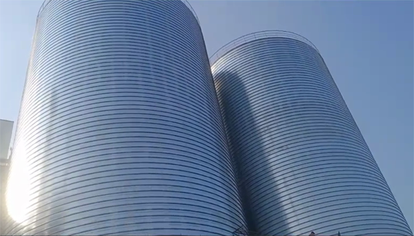 盘山2座混凝土高架卷板仓